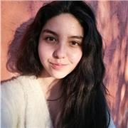 Clases particulares remotas y presenciales de Apoyo